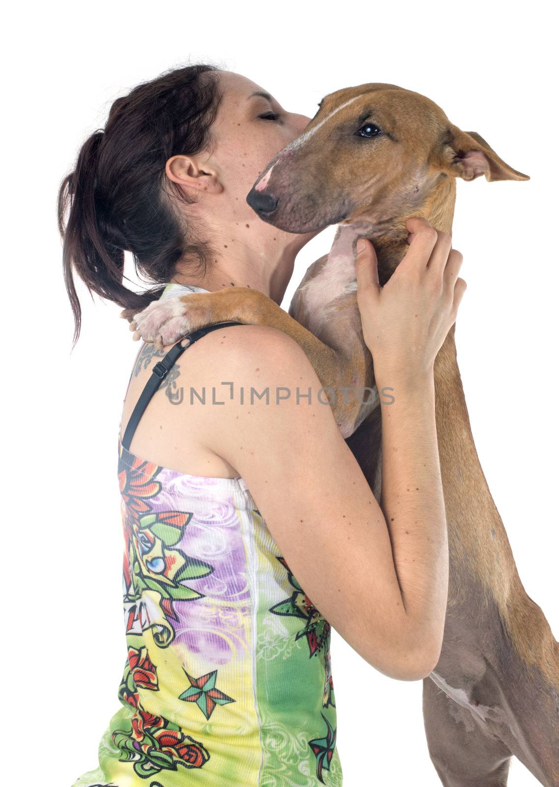bull terrier and girl in front of white background