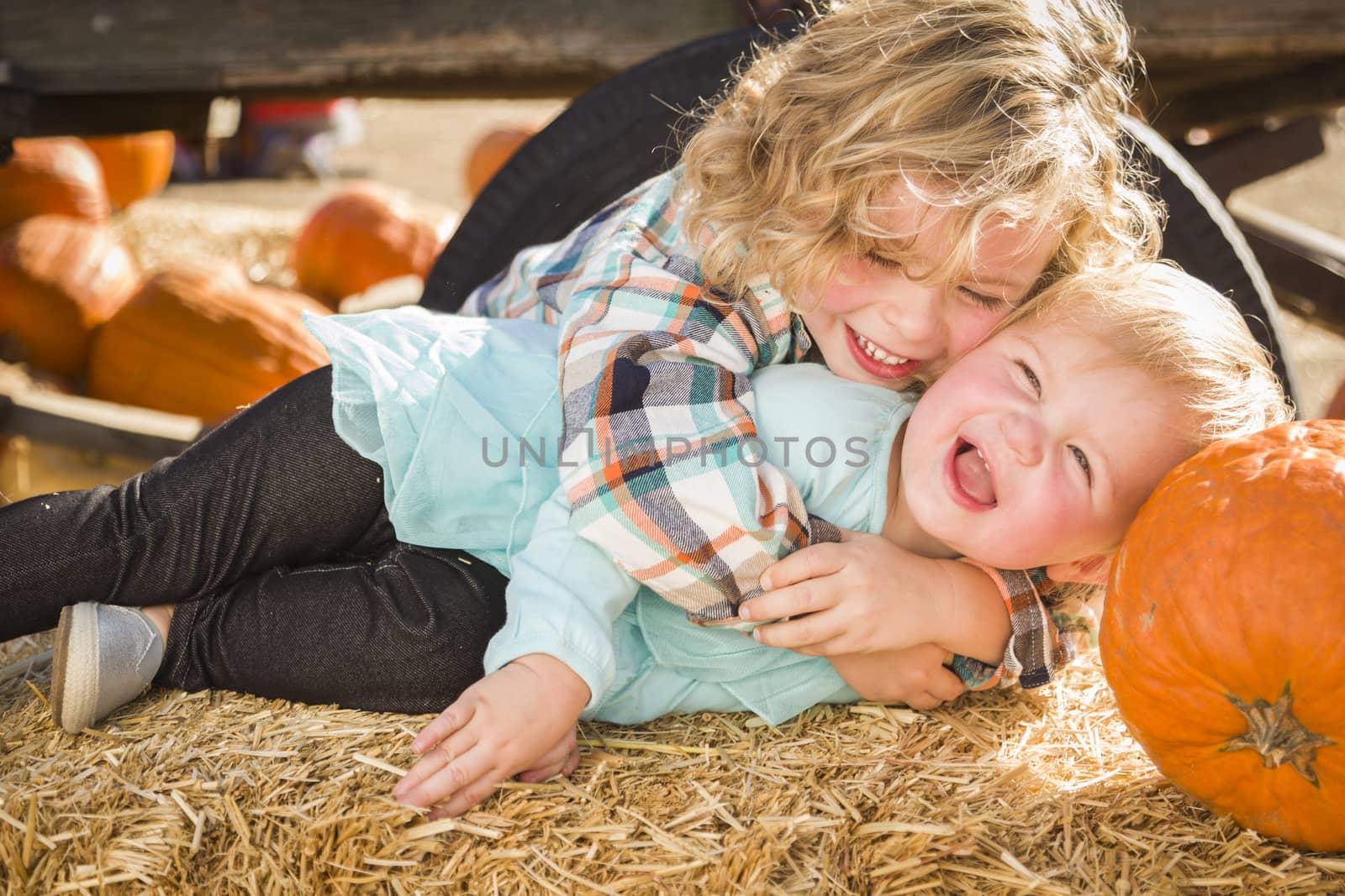 Little Boy Playing with His Baby Sister at Pumpkin Patch by Feverpitched