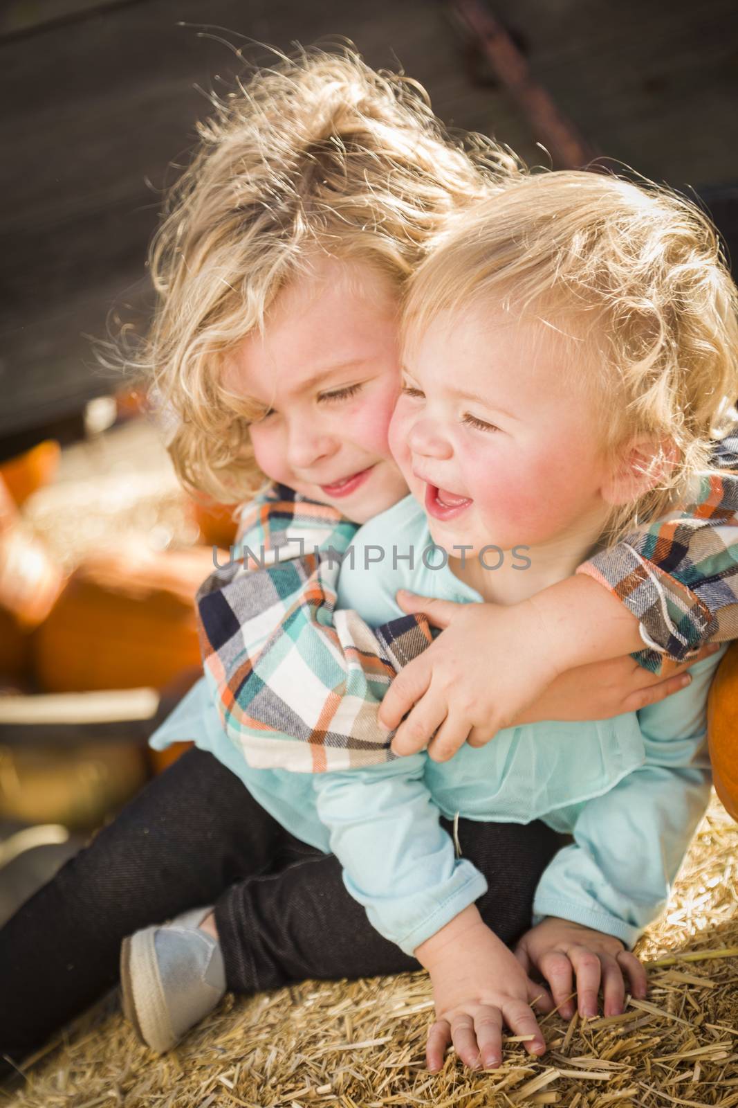 Little Boy Playing with His Baby Sister at Pumpkin Patch by Feverpitched