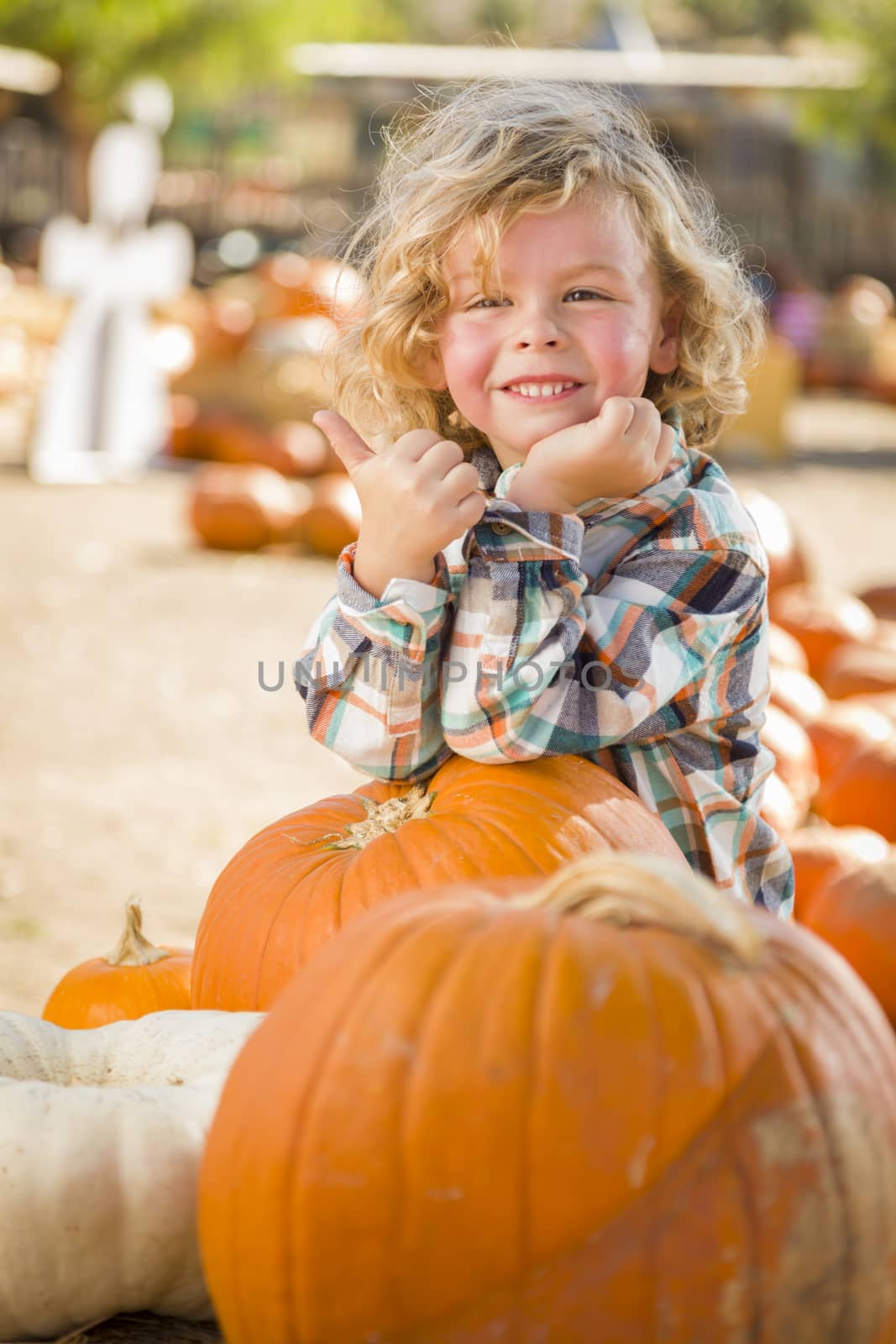 Adorable Little Boy Leaning on Pumpkin Gives a Thumbs Up in a Rustic Ranch Setting at the Pumpkin Patch.