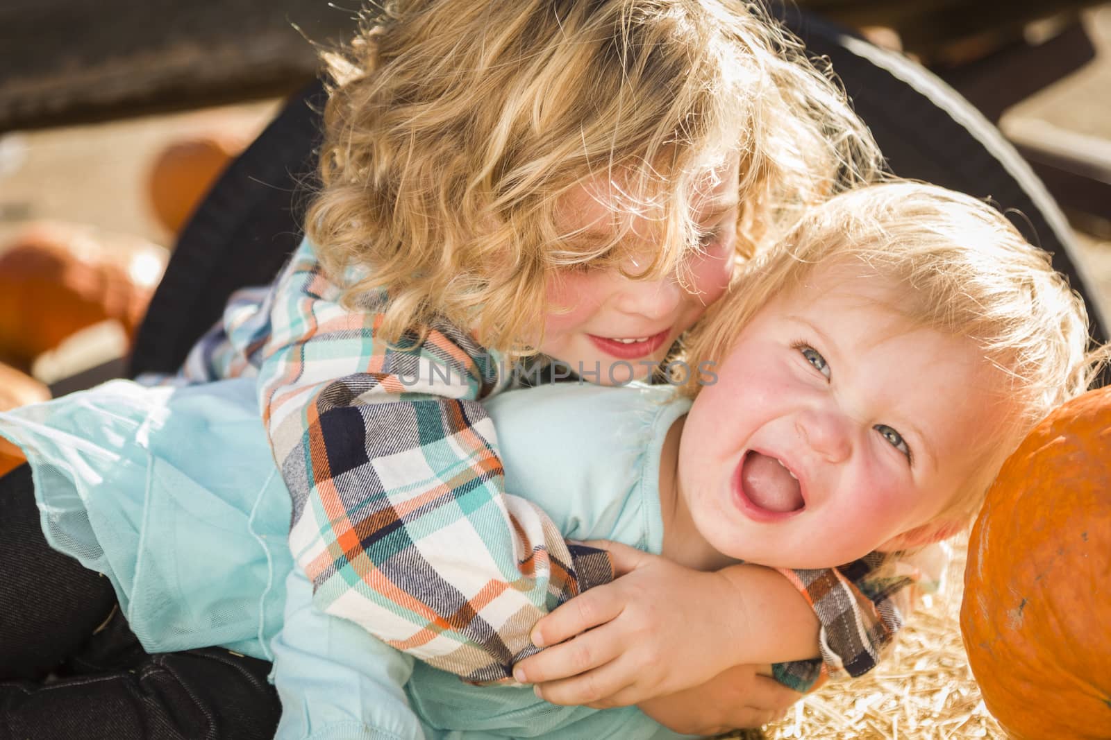Sweet Little Boy Plays with His Baby Sister in a Rustic Ranch Setting at the Pumpkin Patch.