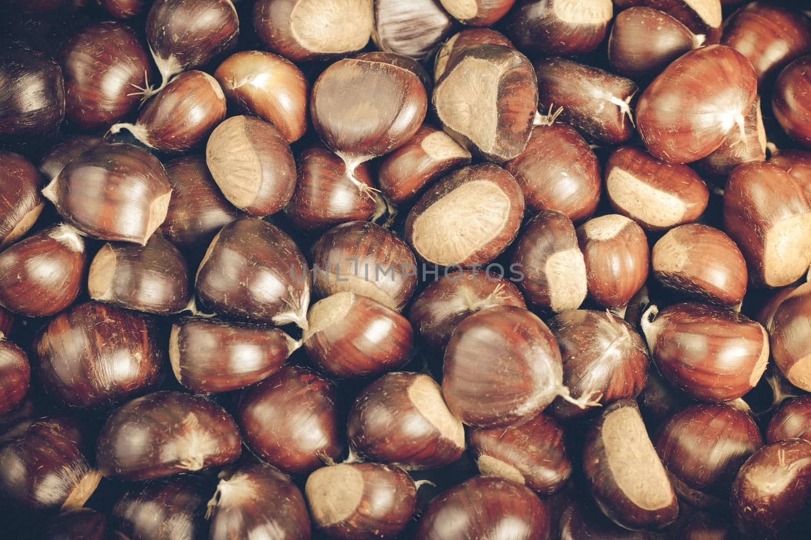 Close-up picture of a group chestnut fruits. 