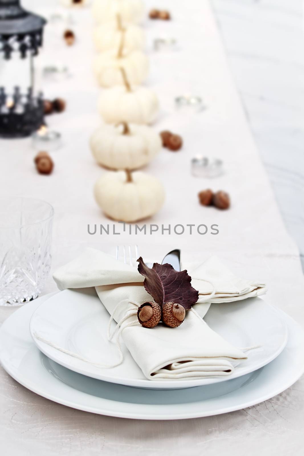 Beautiful table set with white pumpkins and natural items ready for an autumn meal.