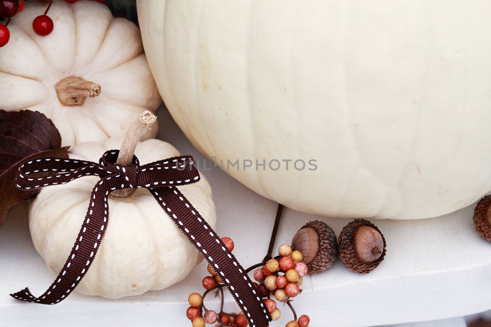 White Pumpkin with Ribbon by StephanieFrey