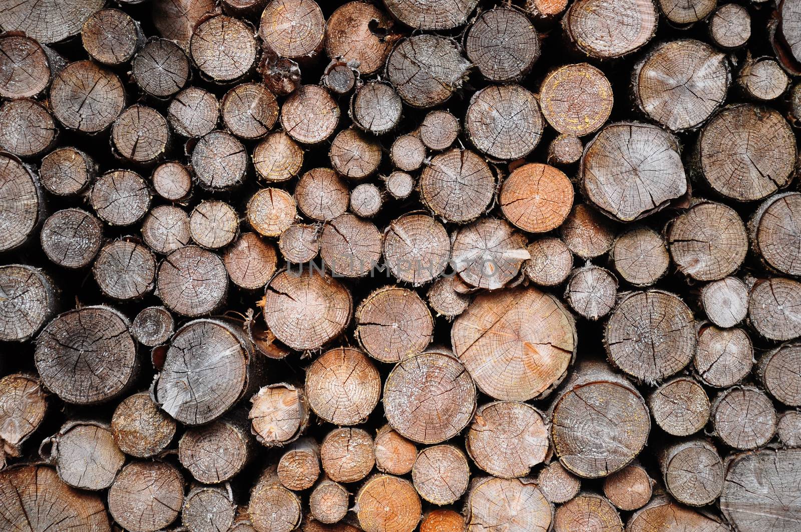 Pile of spruce wood by rbiedermann