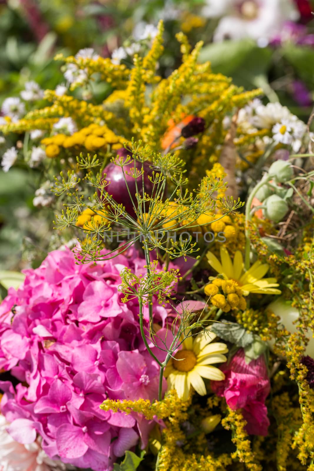 beautiful bouquets of flowers and herbs 