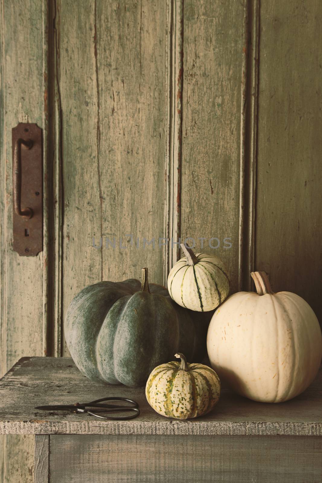Pile of pumpkins and gourds on old bench by Sandralise