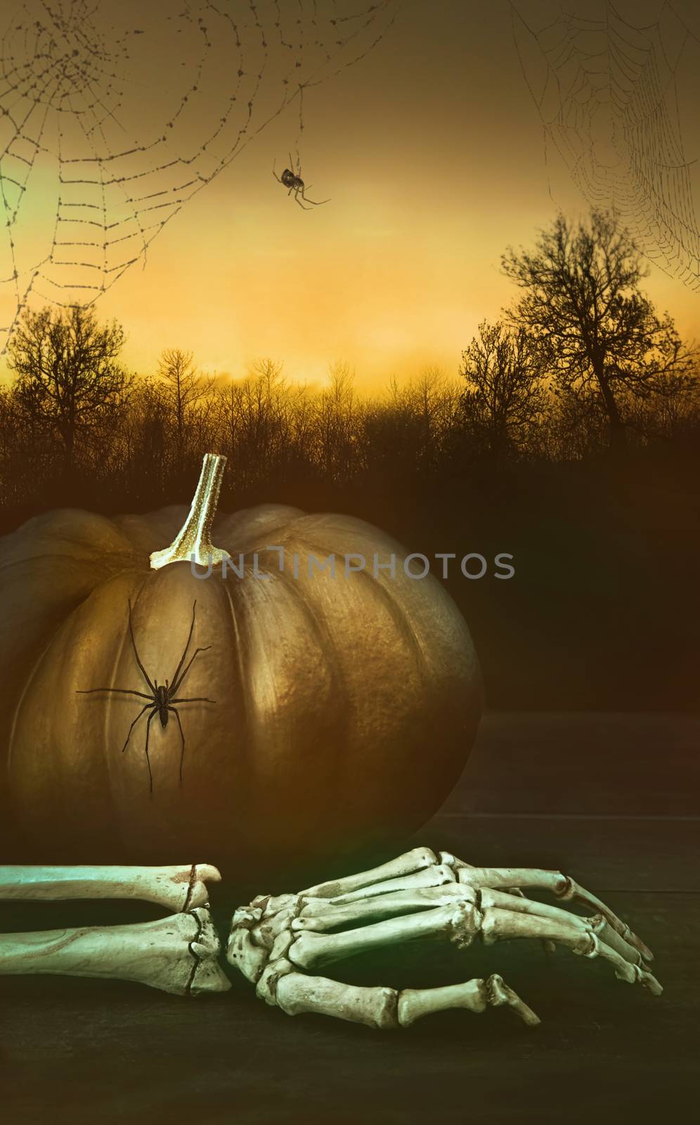 Pumpkin with skeleton hand and spider webs by Sandralise