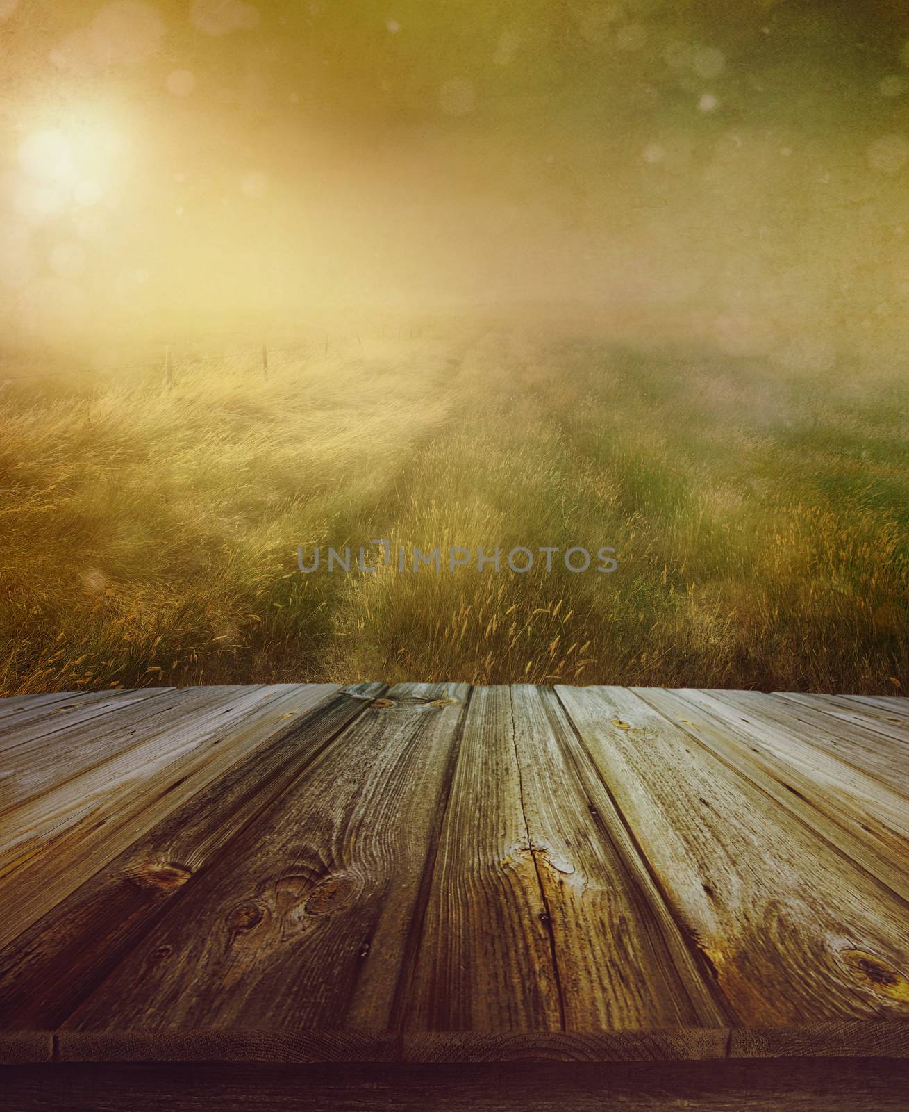 Wood floor with a prairie path in background by Sandralise