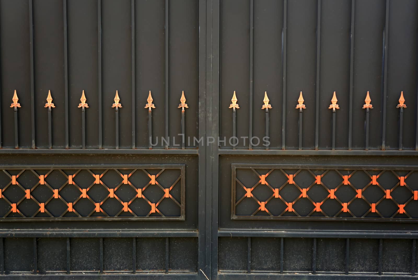 Forged metal gate as a backdrop                                    