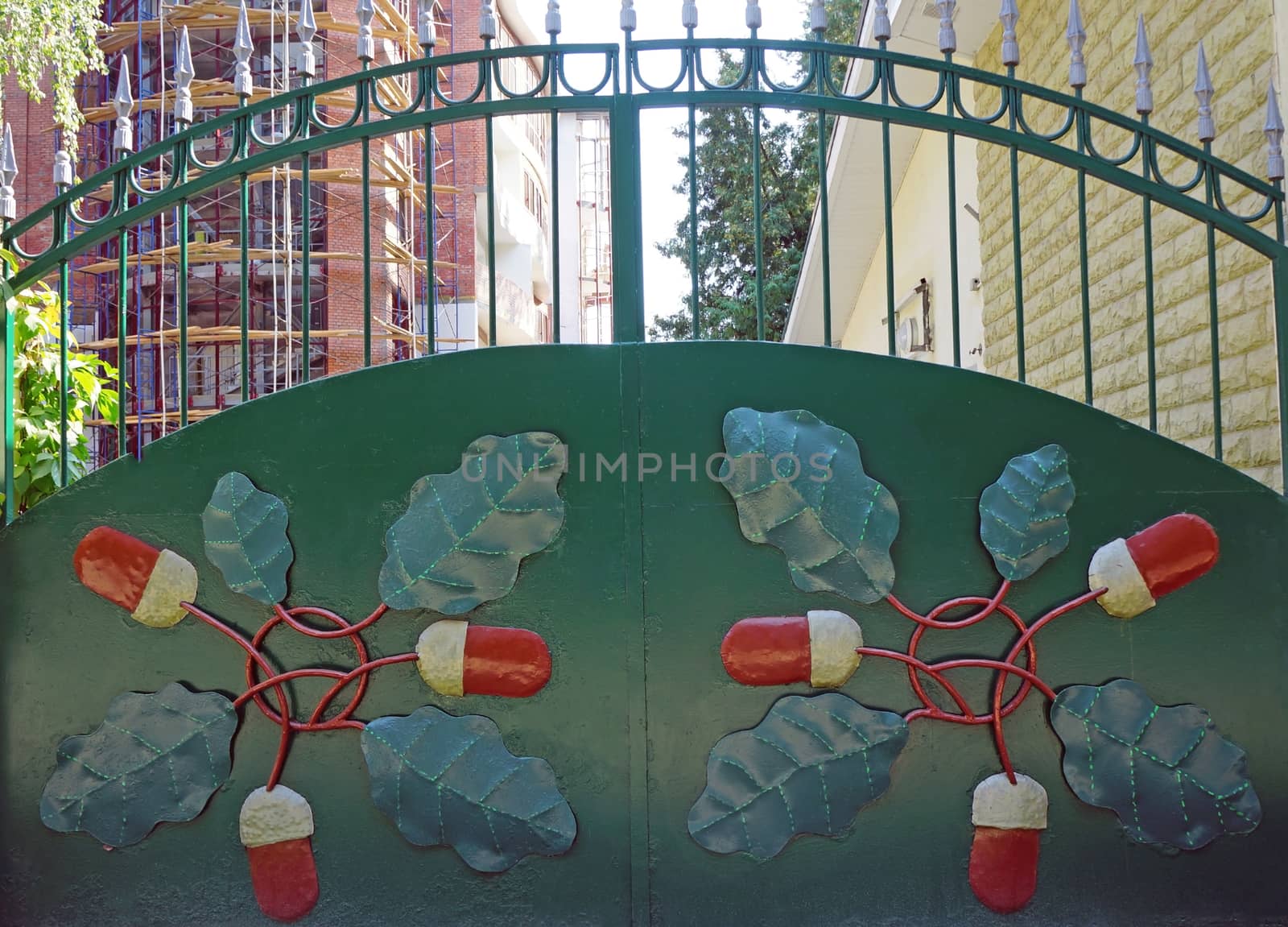 Green metal gate with forged pattern in the form of acorns