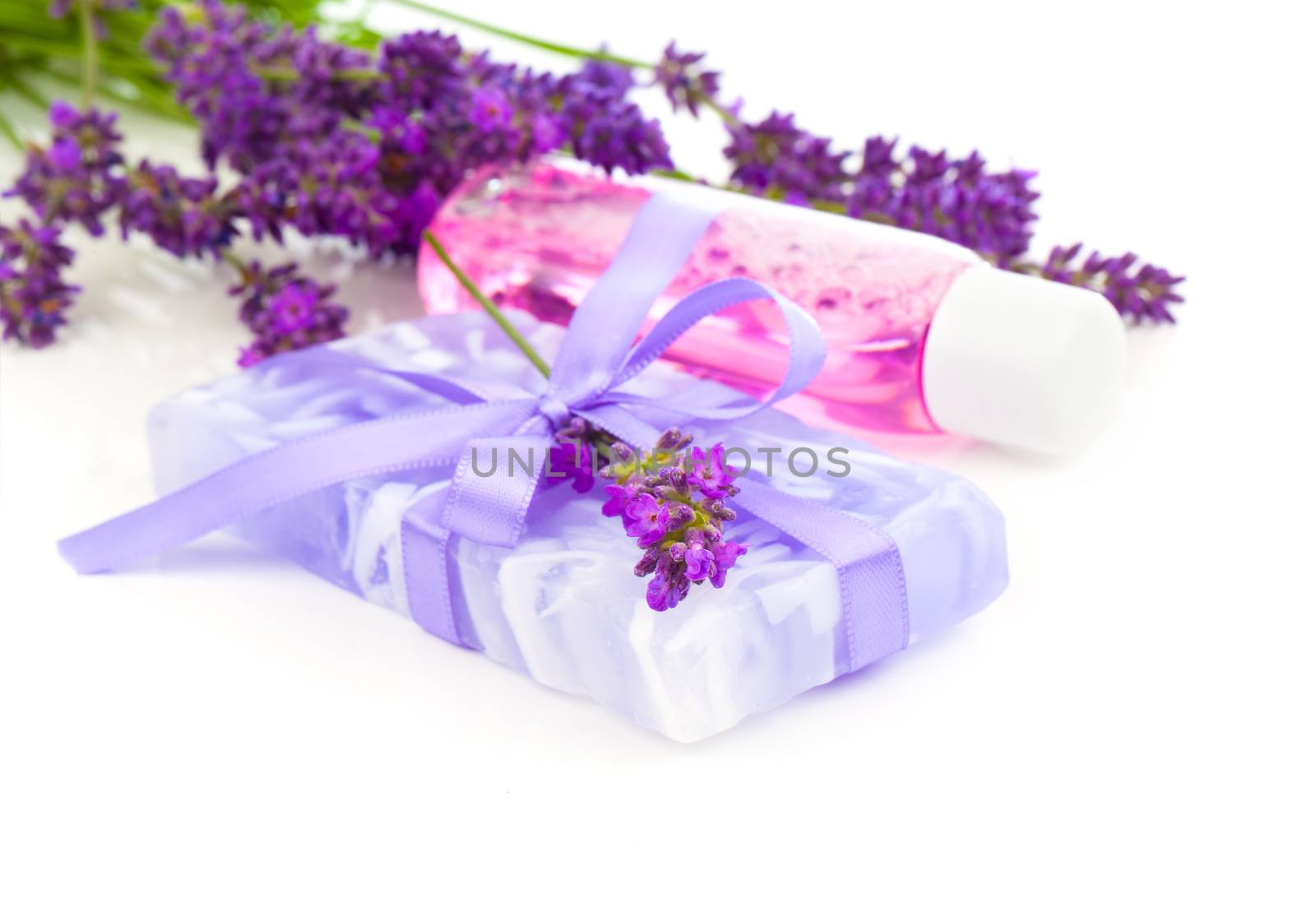 Natural handmade lavender soap and oil with fresh lavender on white background