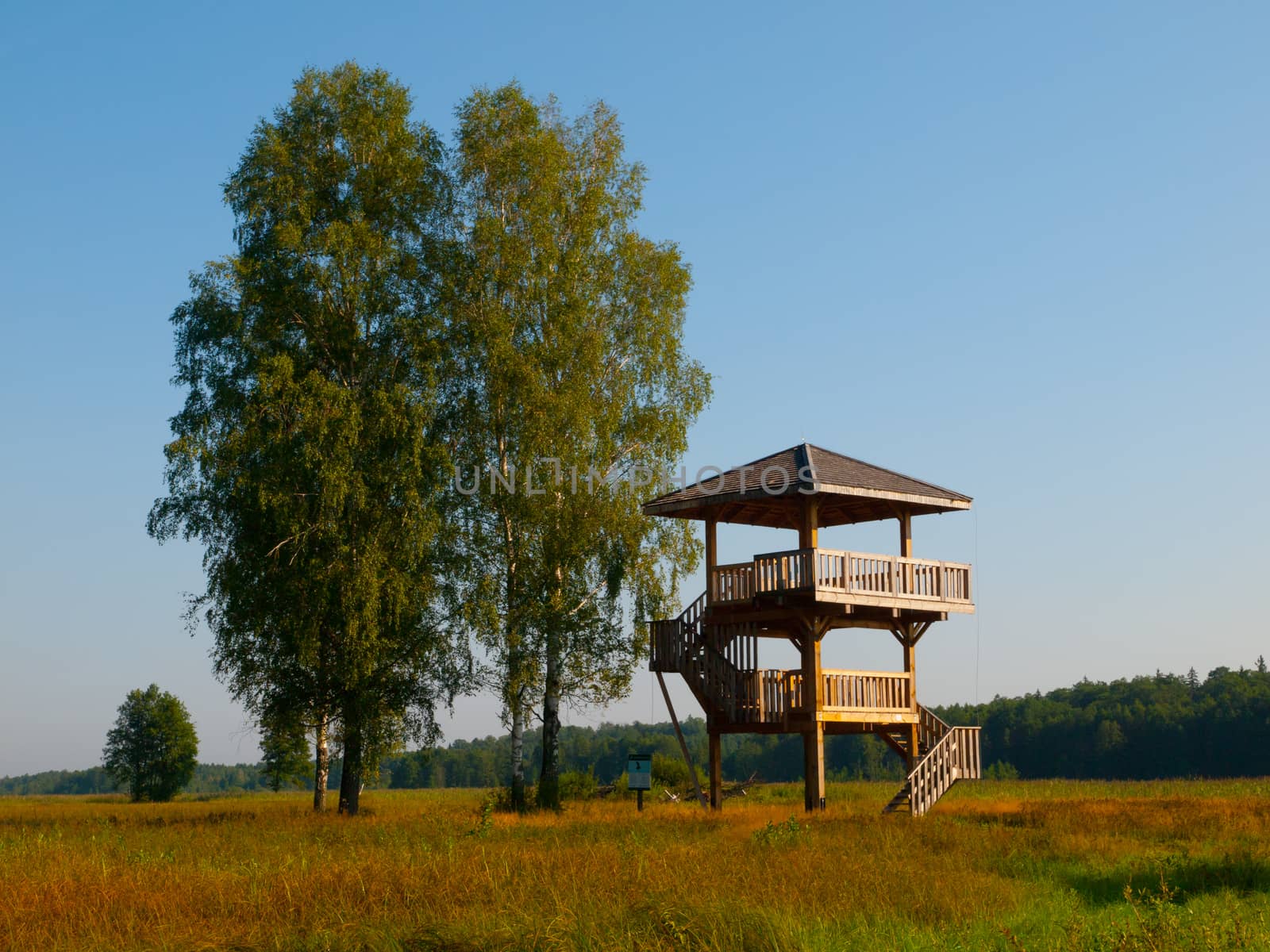 Wooden lookout tower near Bialowieza primeval forest (Poland)