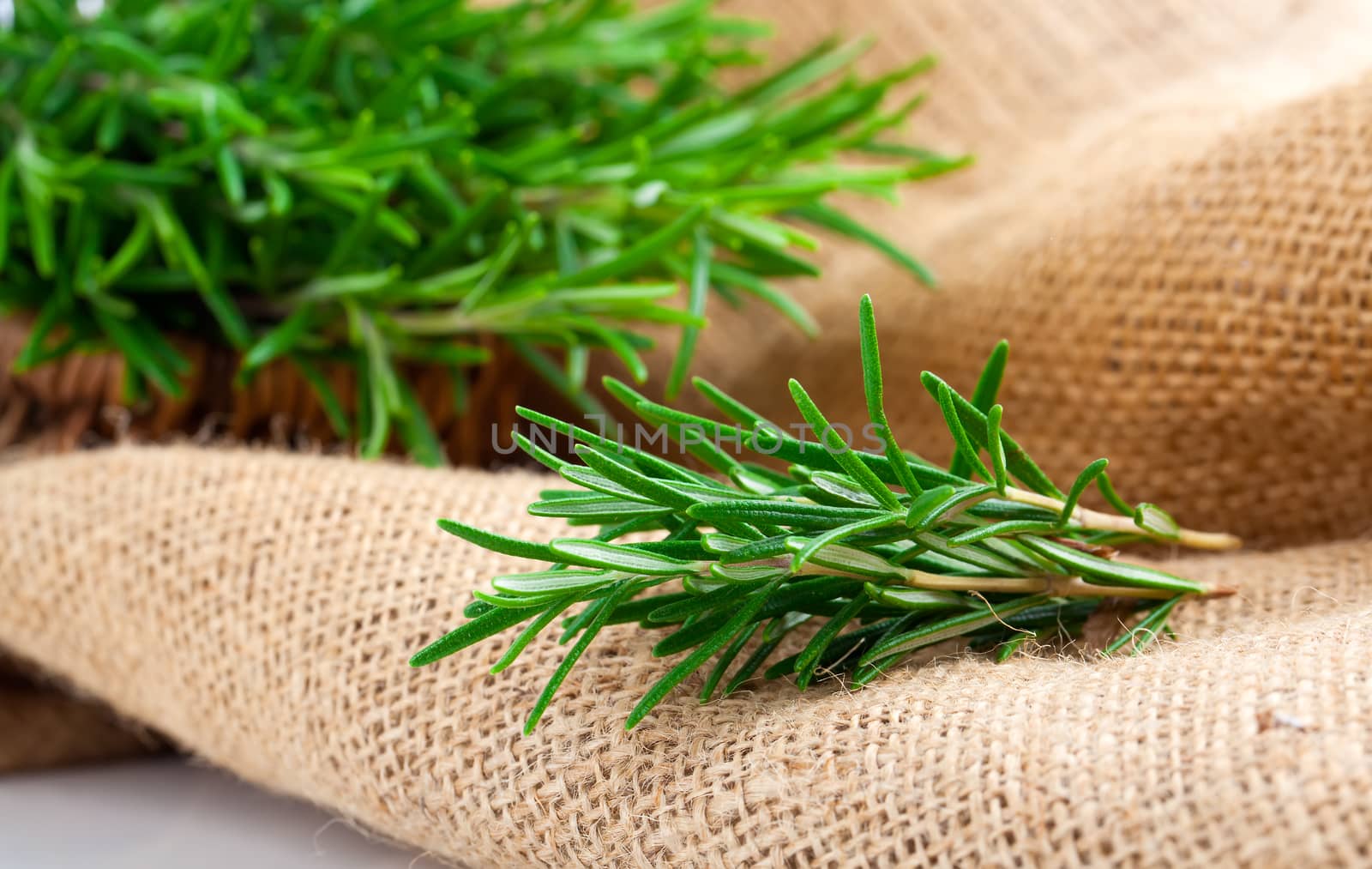 tied fresh rosemary on the burlap, over white background
