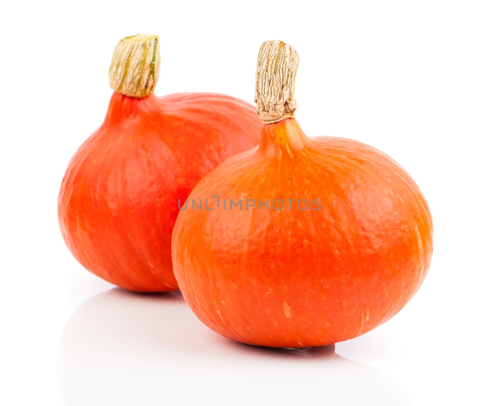 yellow pumpkins vegetables isolated on white background