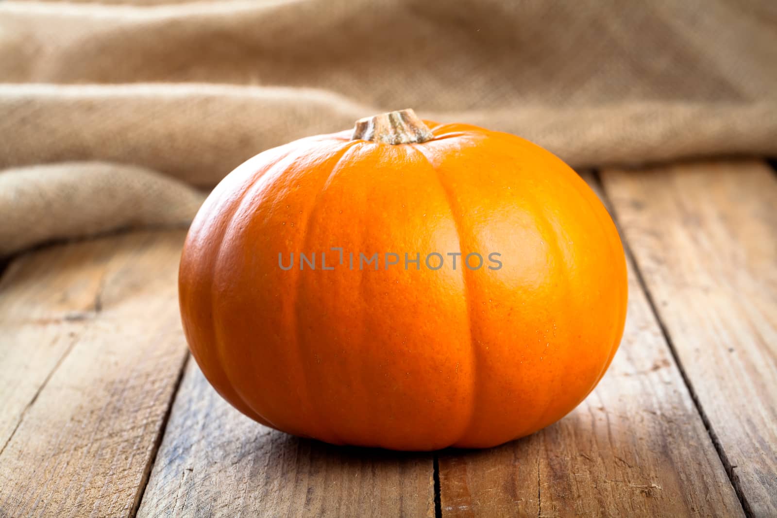 Autumn pumpkins on wooden board