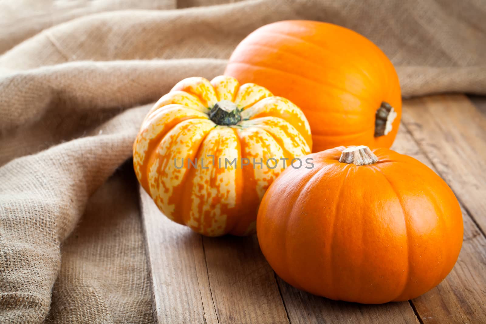 Autumn pumpkins on wooden board