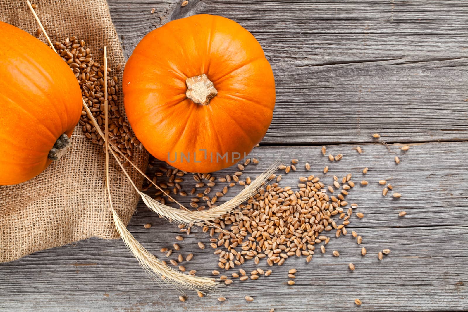Autumn pumpkins on wooden board