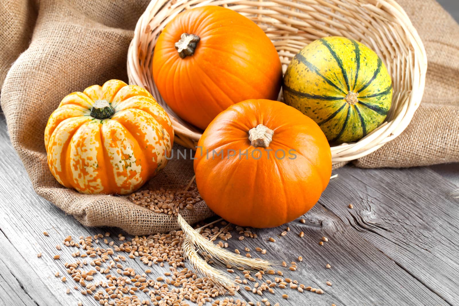 Autumn pumpkins on wooden board