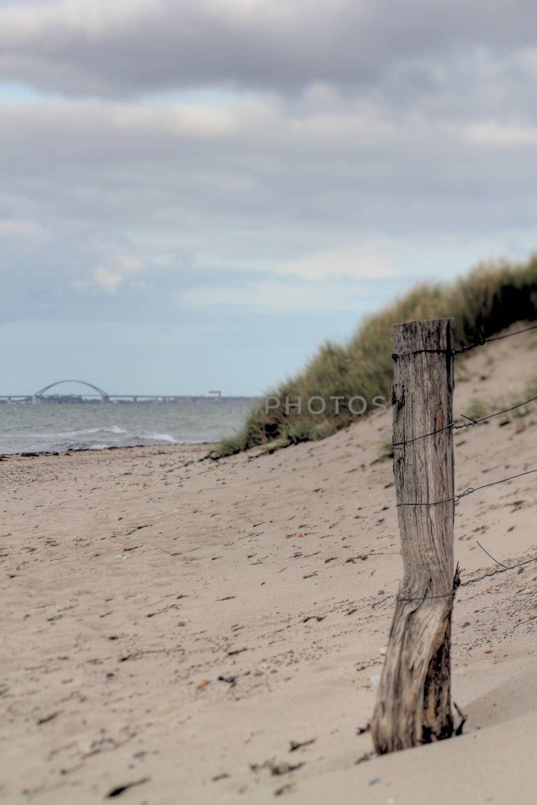 coastal dune by derausdo