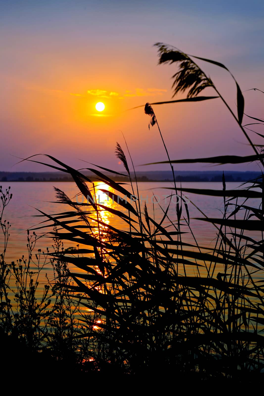 Sunset on the bank of lake  by yurii_bizgaimer