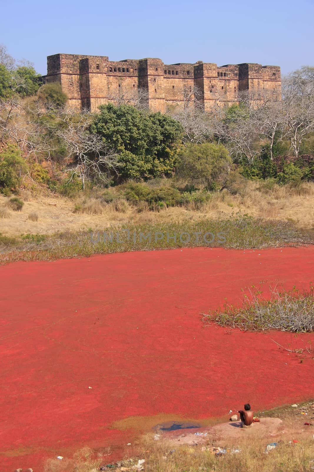Ranthambore Fort and red lake, India by donya_nedomam