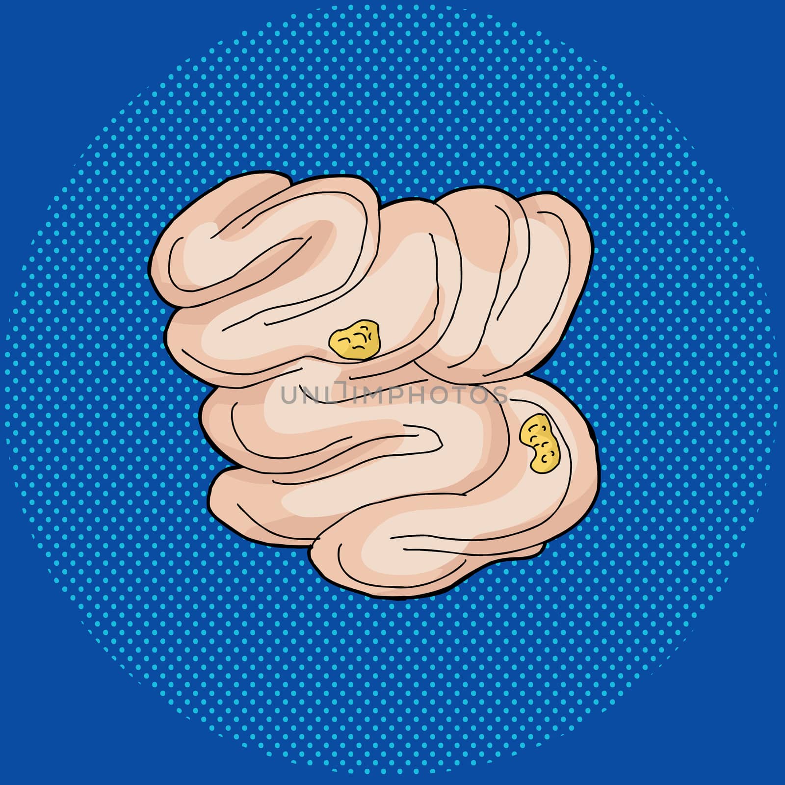 Hand drawn human small intestine with food inside