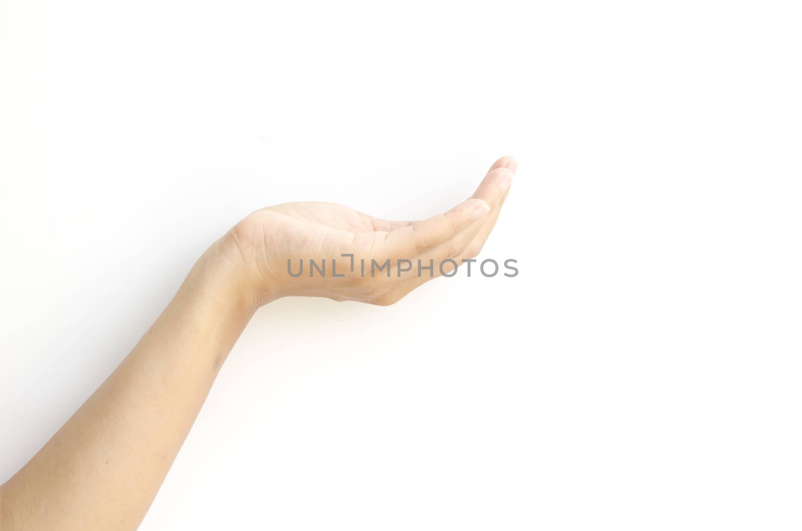 asia female open hand on a white background
