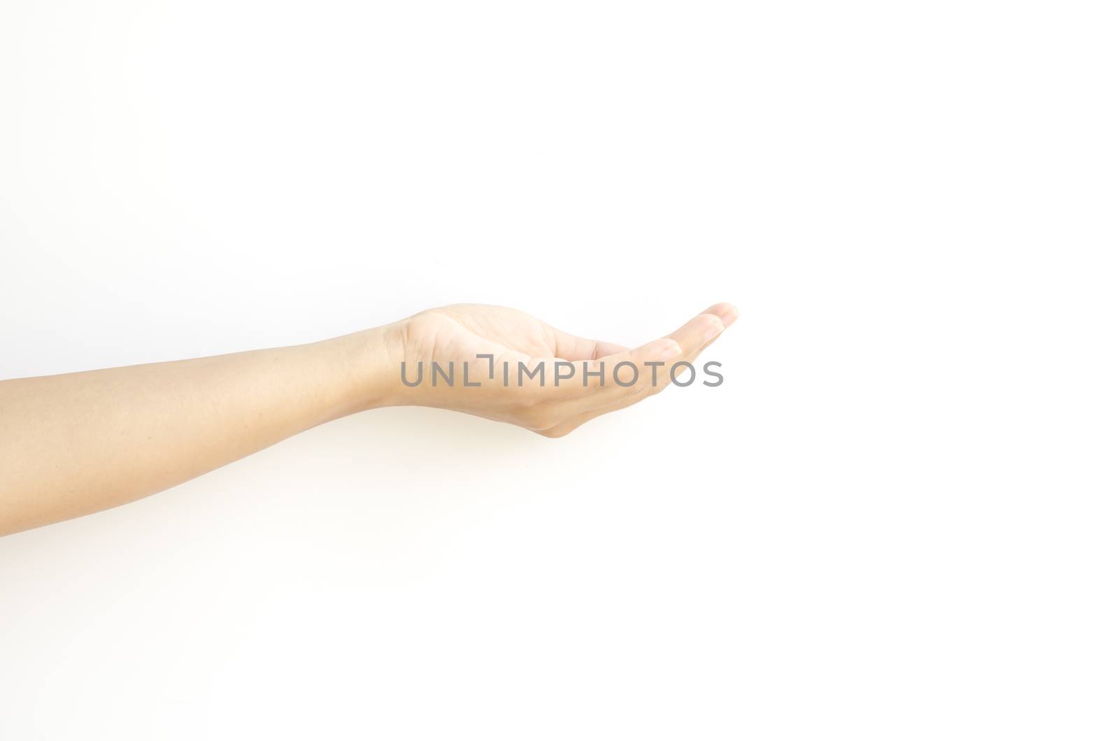 asia female open hand on a white background