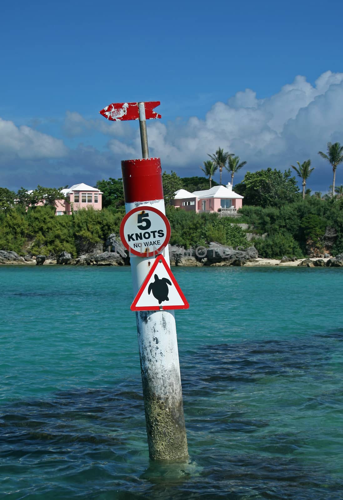 A signpost in a tropical sea, cautioning slow speeds due to Turtles in the area