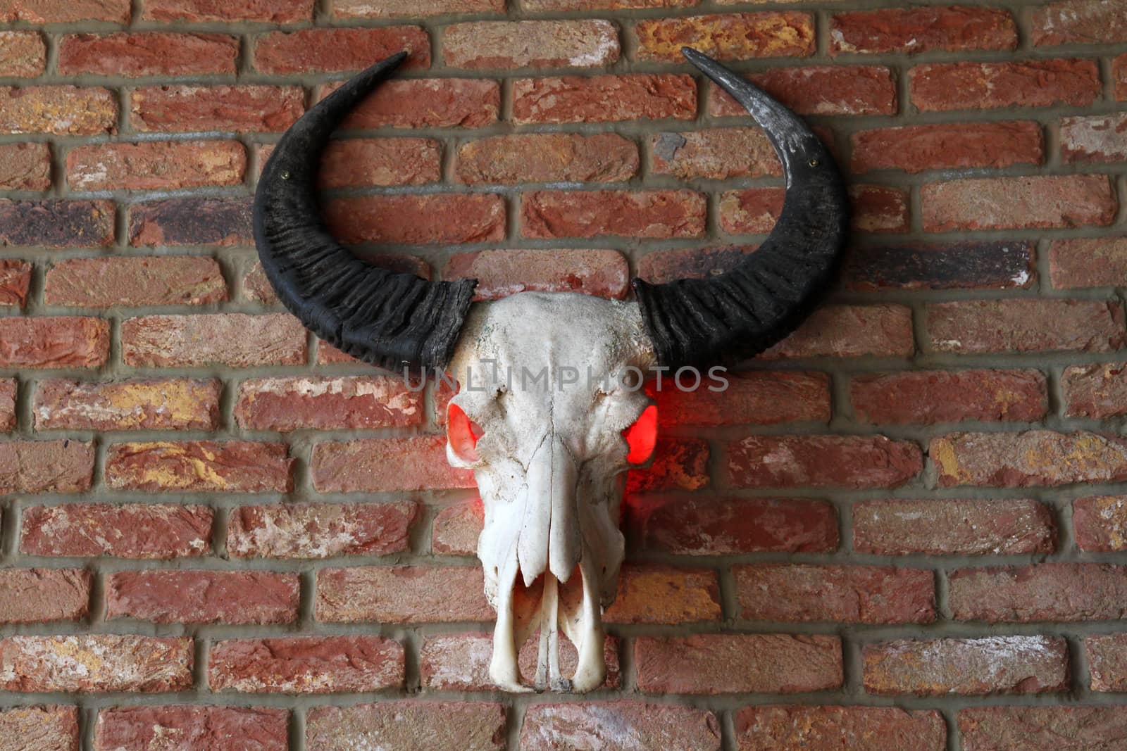 A decorative animal skull with horns and red glowing eyes