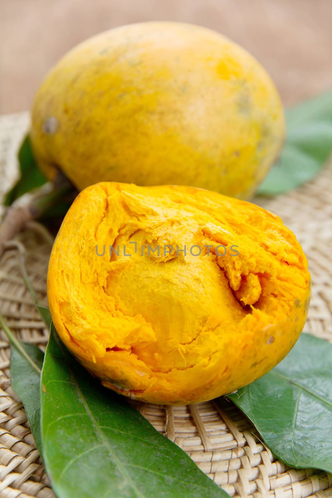 Tiesa, egg fruit, Canistel. (Pouteria campechiana)