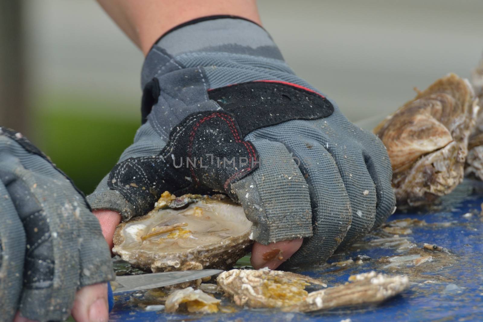 Close up of oyster being prepared