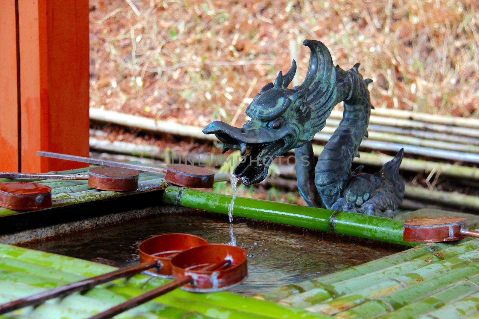 Photo shows details of Japanese temple garden.