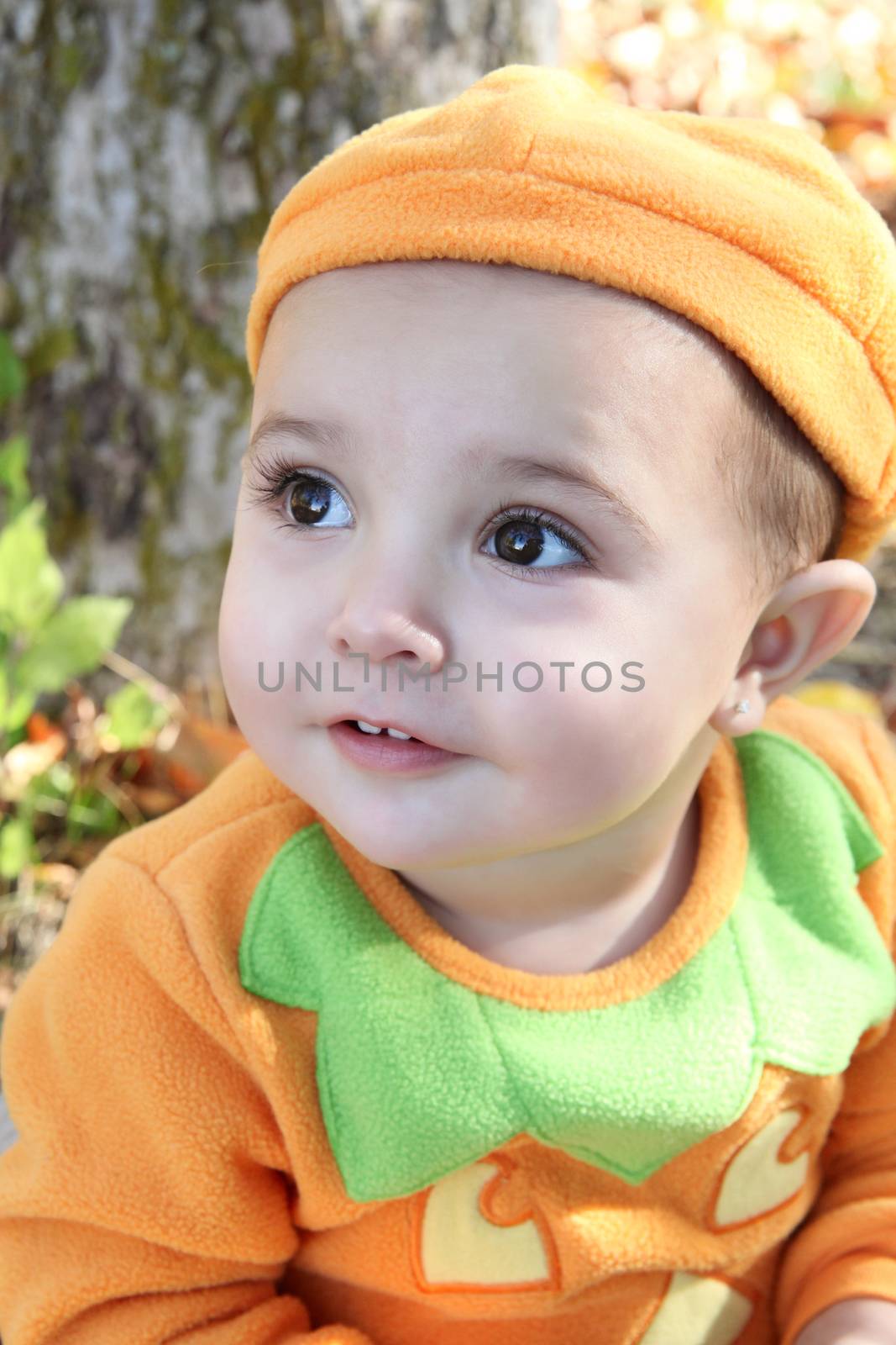 Halloween baby dressed as a pumkin playing outdoors during fall