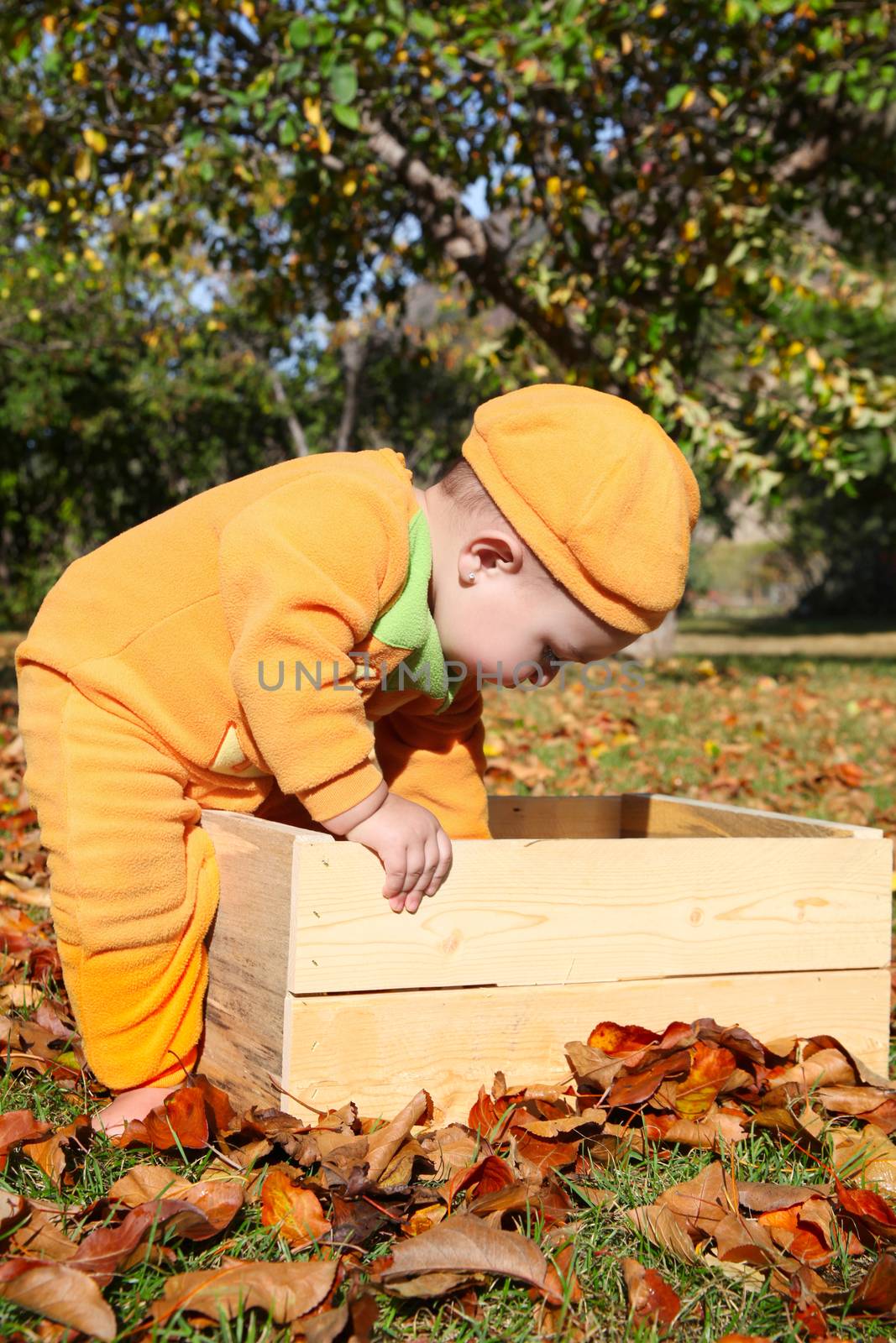 Halloween baby dressed as a pumkin playing outdoors during fall
