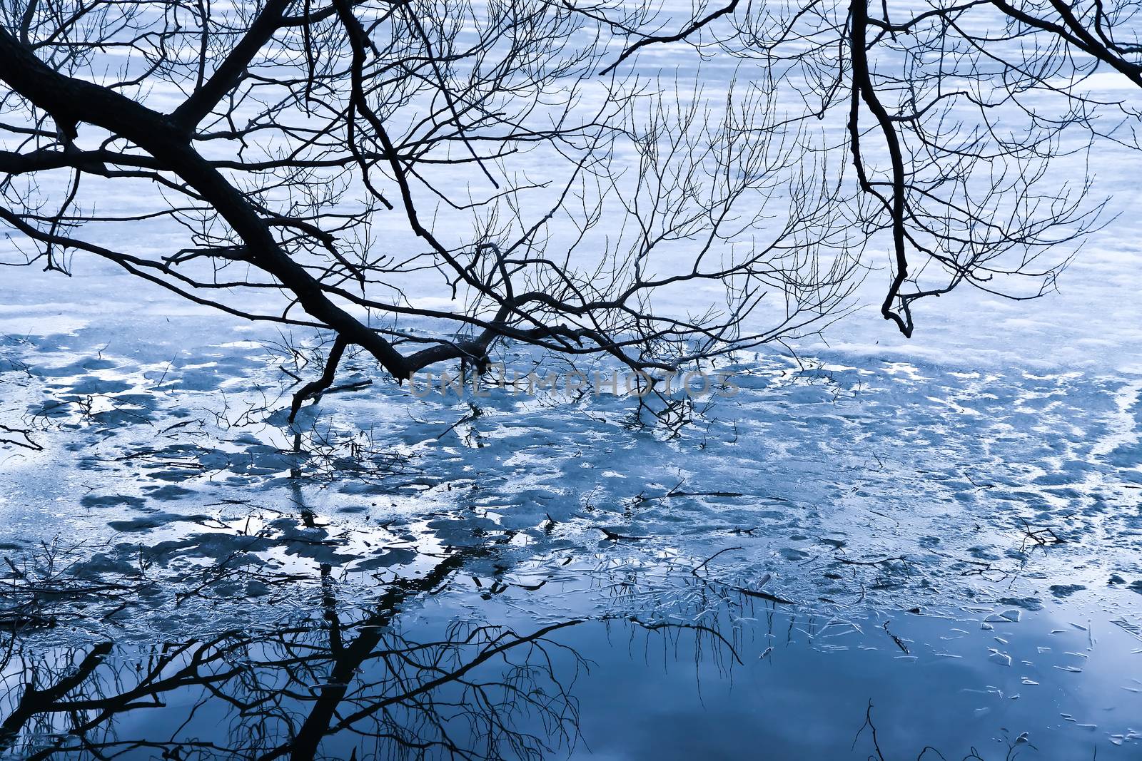 Coast  winter river by yurii_bizgaimer