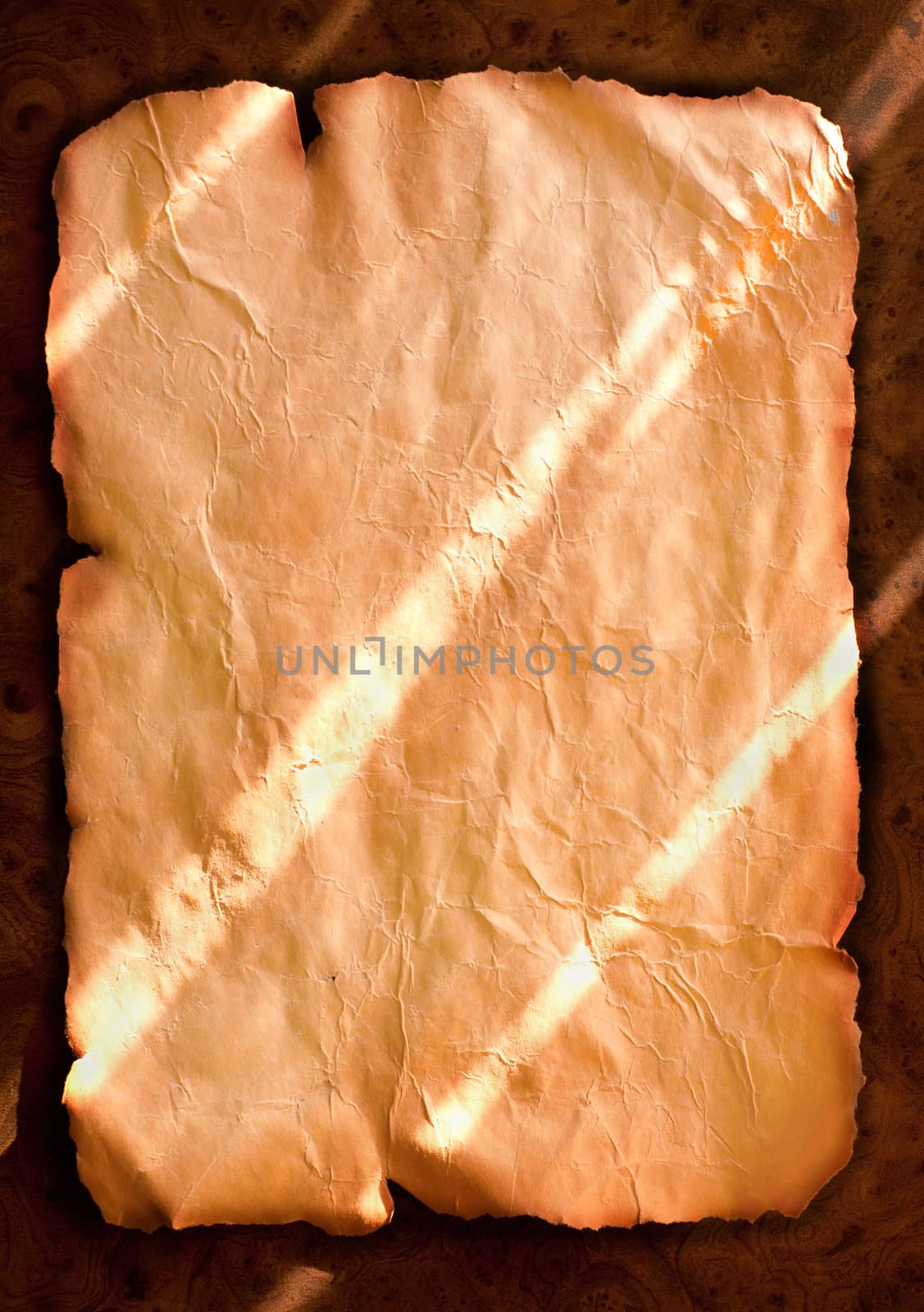 Ancient paper by yurii_bizgaimer