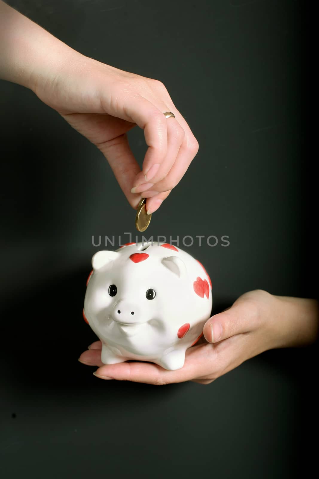 Pig-coin box in female hands on black background