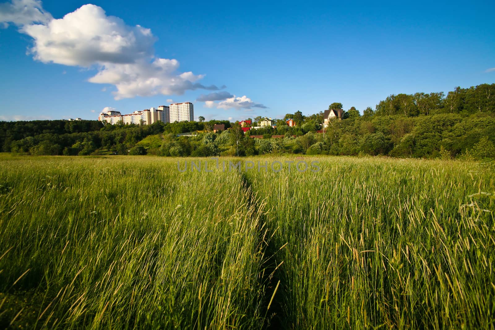 City on background of field with high grass
