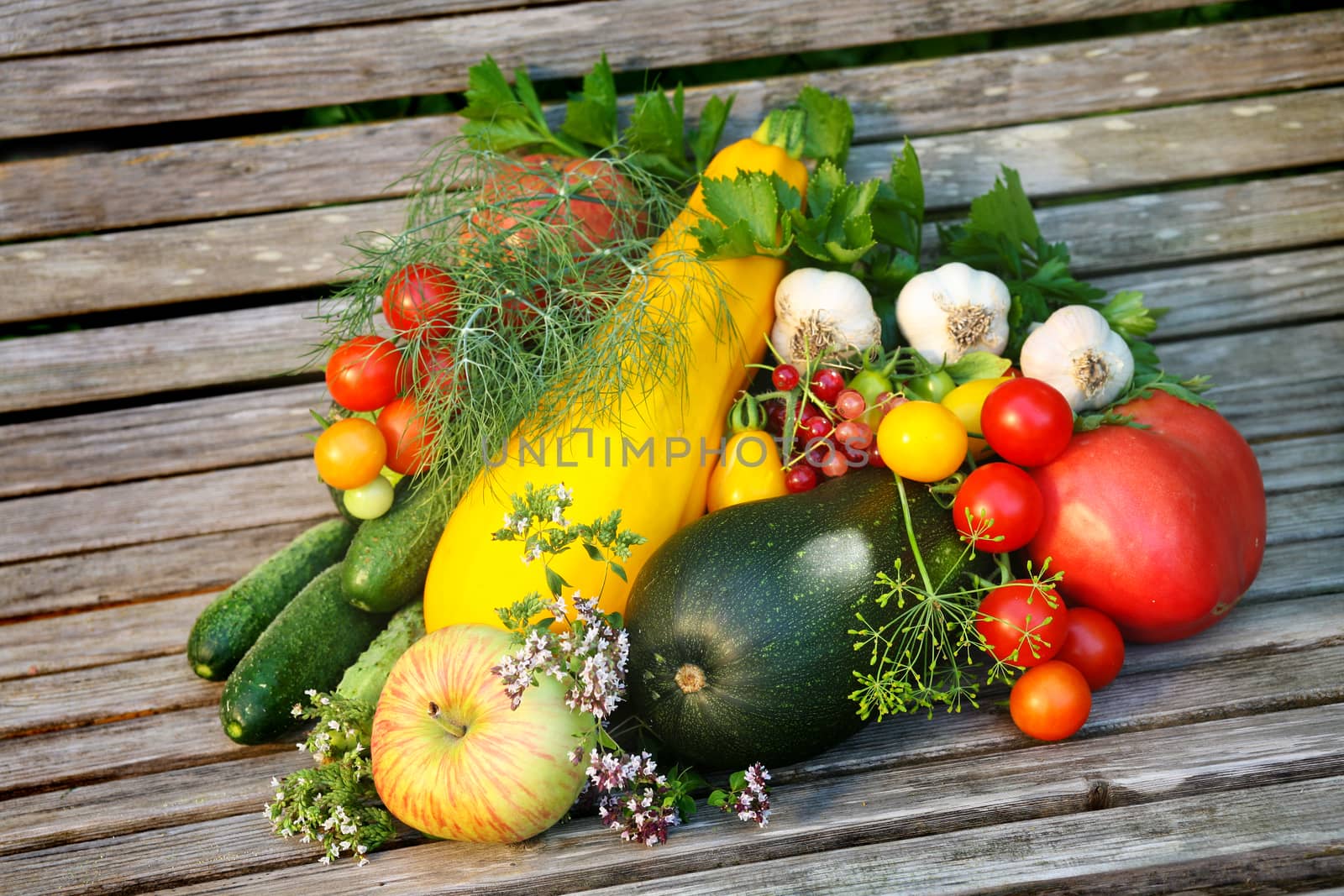 Ripe vegetables and fruit on wooden bench in garden