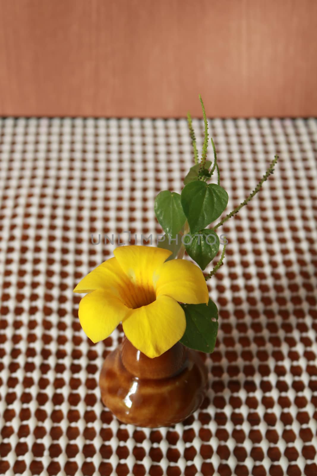 The allamanda cathartica is in the small vase to decorate the dinner table.