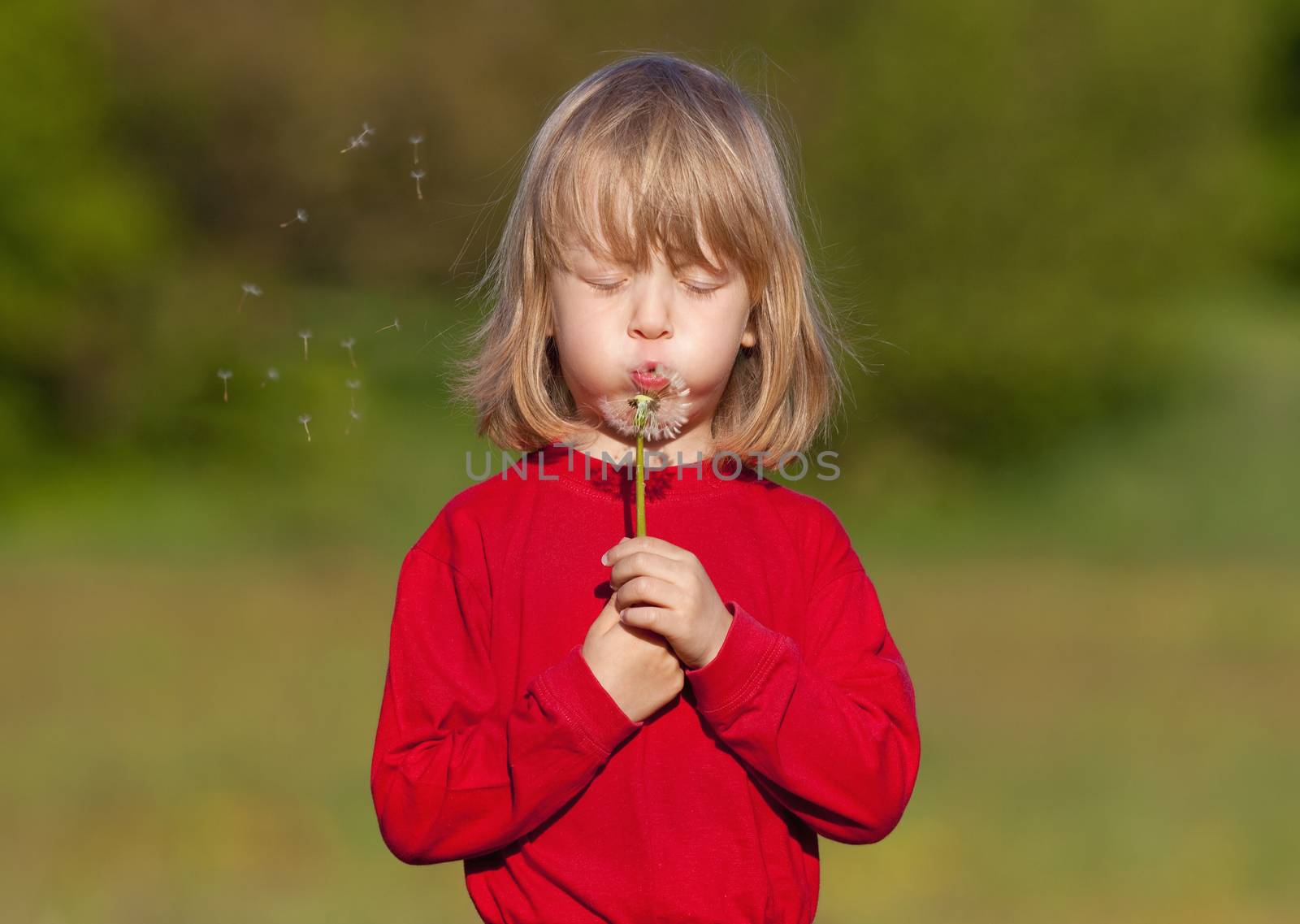 boy with long blond hair holding dandelion standing in a field