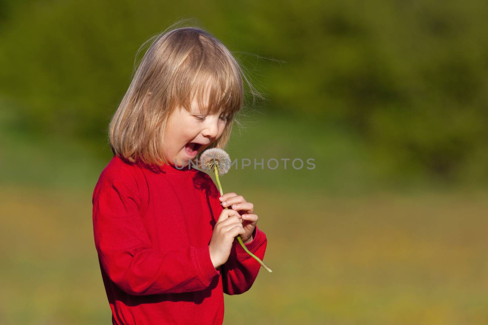 boy with a dandelion by courtyardpix