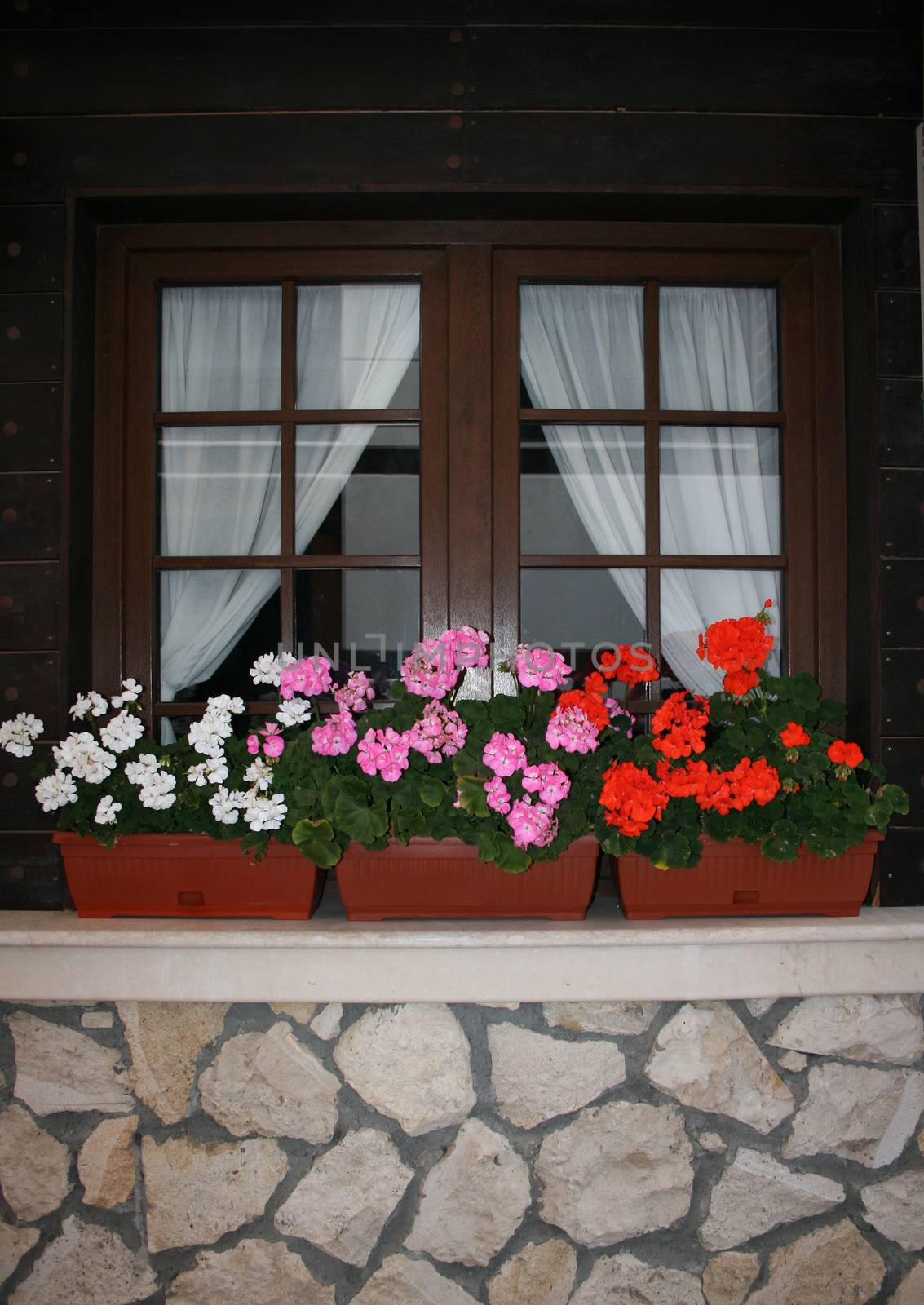 window with flowerpots by mimirus