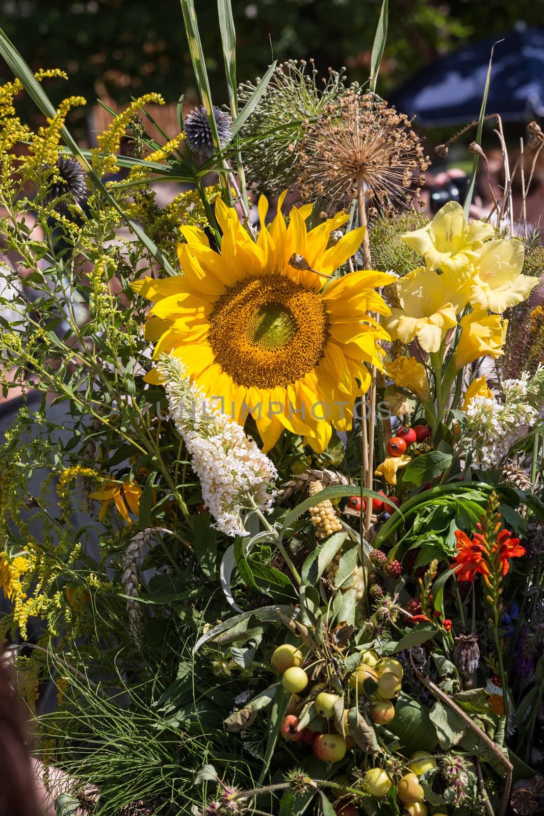 beautiful bouquets of flowers and herbs 