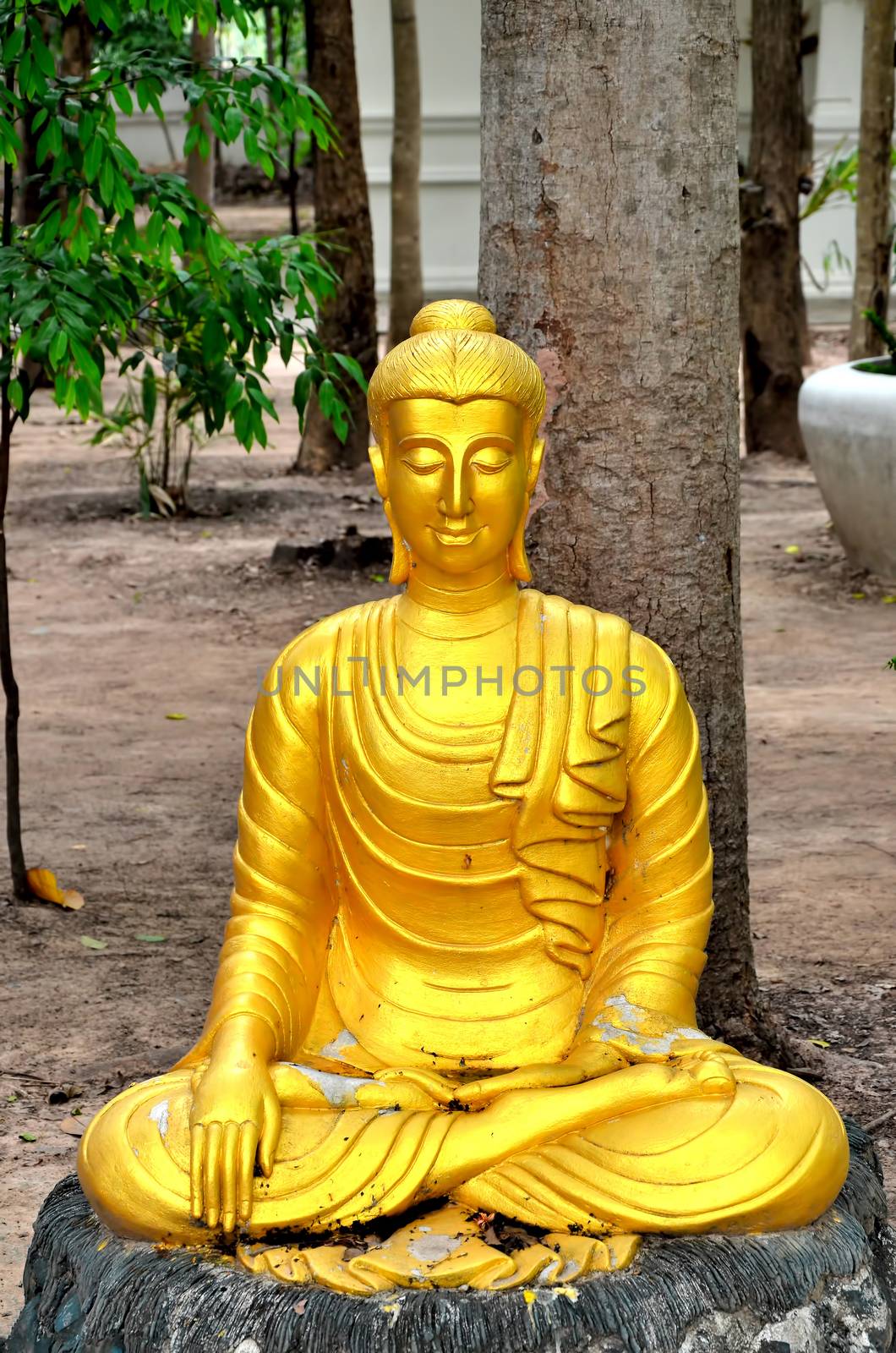 a statue in thai temple