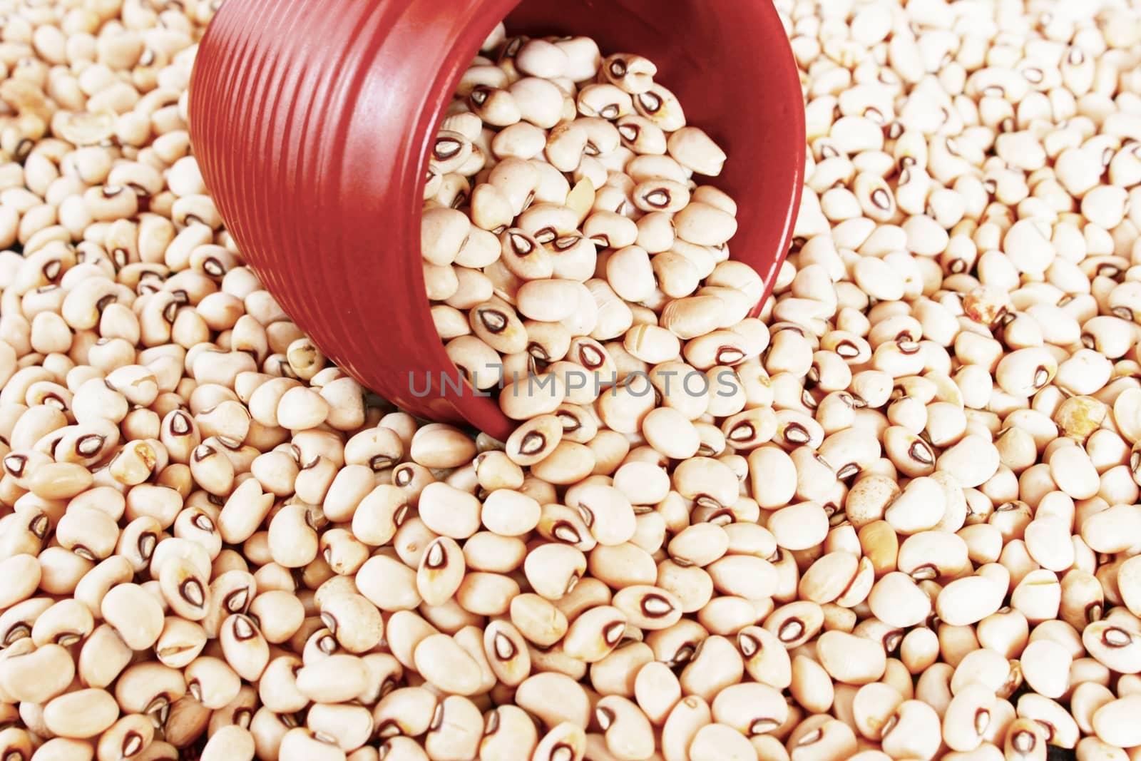 Black eyed peas or beans are a vegetarian  protein source. These belong to the legumes family. The photo includes a terracotta measuring cup amidst the beans. 
