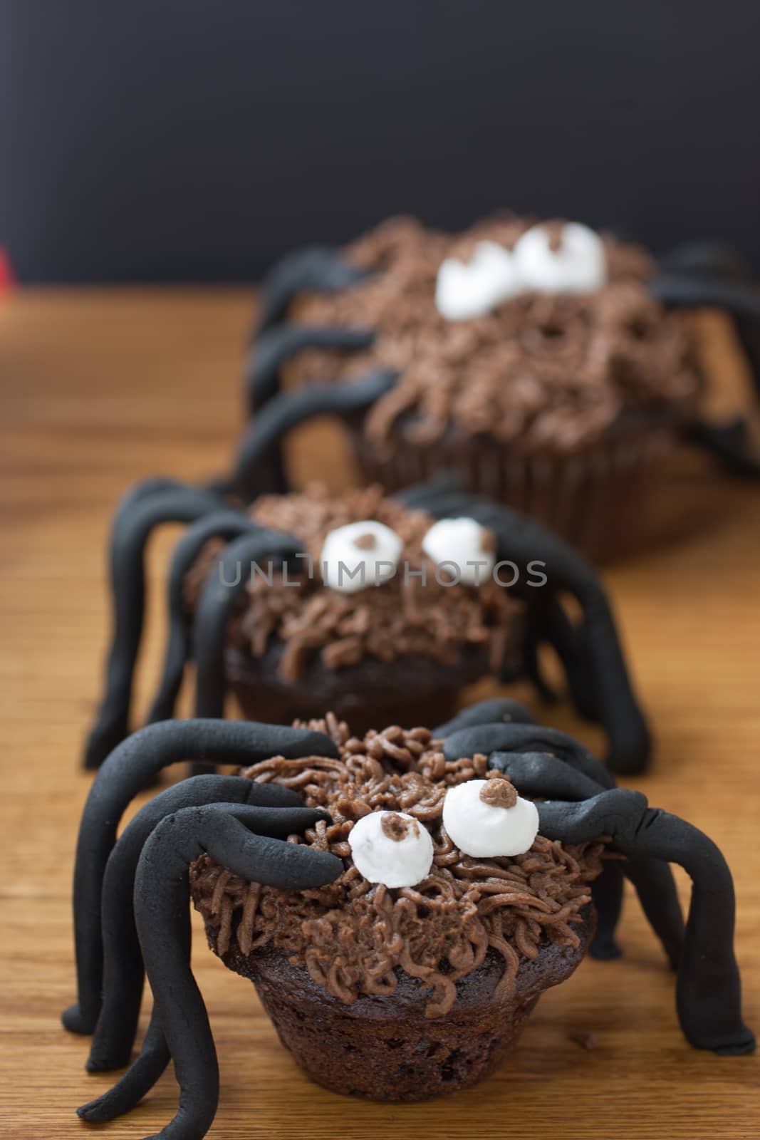 Chocolate Cupcake Spiders by SouthernLightStudios