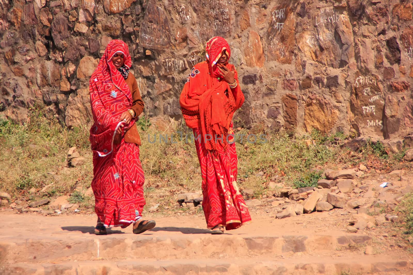 Indian women in colorful saris walking at Ranthambore Fort, Indi by donya_nedomam